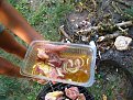 Click image for larger version

Name:	IMG_8938.jpg
Views:	159
Size:	101.4 Килобайта
ID:	2287439