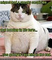 Click image for larger version

Name:	funny-pictures-fat-cat-holds-farts.jpg
Views:	140
Size:	35.1 Килобайта
ID:	2290438