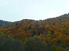 Click image for larger version

Name:	P1190394.jpg
Views:	105
Size:	94.9 Килобайта
ID:	2310510