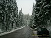 Click image for larger version

Name:	DSCI1764.jpg
Views:	261
Size:	98.4 Килобайта
ID:	2310647