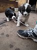 Click image for larger version

Name:	DSCF6390.jpg
Views:	182
Size:	95.8 Килобайта
ID:	2326884