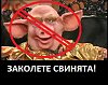 Click image for larger version

Name:	safe_image.jpg
Views:	95
Size:	55.0 Килобайта
ID:	2327322