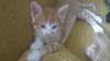 Click image for larger version

Name:	15092012167.jpg
Views:	162
Size:	92.1 Килобайта
ID:	2406081