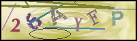 Registration Image