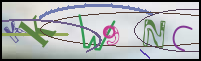 Registration Image